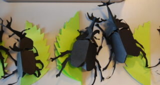 水野政雄の世界　小さないきものたち　２０１９年