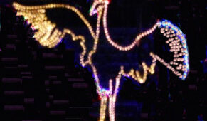 ２０１８イルミネーション！　冬の約束（鶴の恩返し）